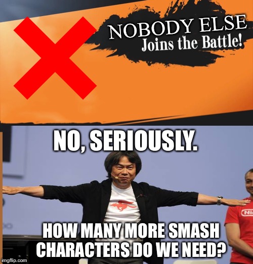 NOBODY ELSE; NO, SERIOUSLY. HOW MANY MORE SMASH CHARACTERS DO WE NEED? | image tagged in smash bros | made w/ Imgflip meme maker