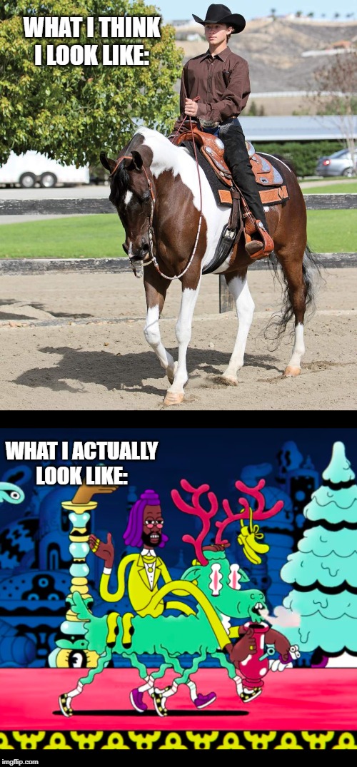 I got the horses in the back, | WHAT I THINK I LOOK LIKE:; WHAT I ACTUALLY LOOK LIKE: | image tagged in funny,memes,fun,funny memes,horse,what i actually look like | made w/ Imgflip meme maker