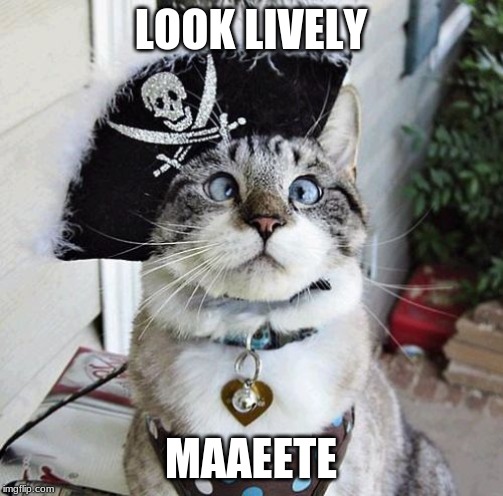 Spangles Meme | LOOK LIVELY MAAEETE | image tagged in memes,spangles | made w/ Imgflip meme maker