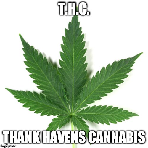 Marijuana leaf | T.H.C. THANK HAVENS CANNABIS | image tagged in marijuana leaf | made w/ Imgflip meme maker