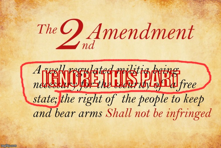 2nd amendment  | IGNORE THIS PART IGNORE THIS PART | image tagged in 2nd amendment | made w/ Imgflip meme maker