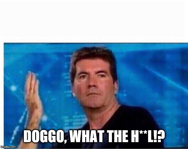 Simon What the hell | DOGGO, WHAT THE H**L!? | image tagged in simon what the hell | made w/ Imgflip meme maker