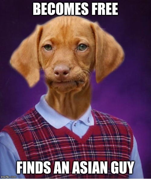 Bad Luck Dog | BECOMES FREE FINDS AN ASIAN GUY | image tagged in bad luck dog | made w/ Imgflip meme maker