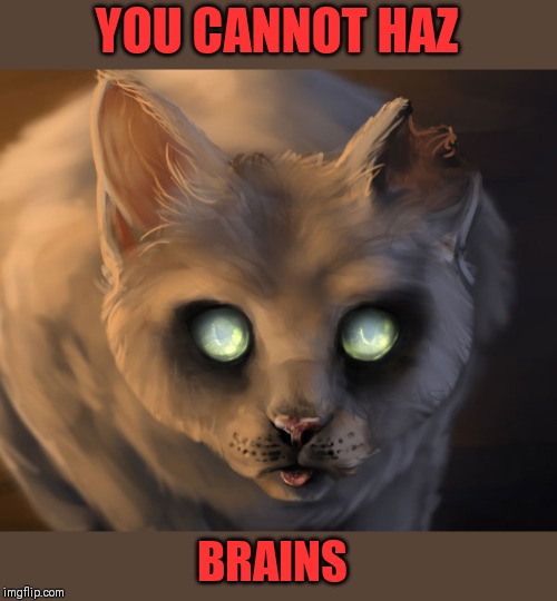 Zombie Cat | YOU CANNOT HAZ BRAINS | image tagged in zombie cat | made w/ Imgflip meme maker