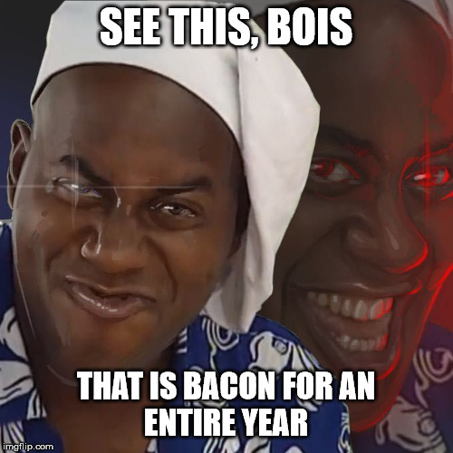 Ainsley Spicy Meat | SEE THIS, BOIS THAT IS BACON FOR AN ENTIRE YEAR | image tagged in ainsley spicy meat | made w/ Imgflip meme maker