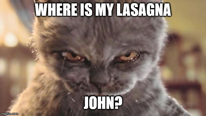 Evil Cat | WHERE IS MY LASAGNA JOHN? | image tagged in evil cat | made w/ Imgflip meme maker