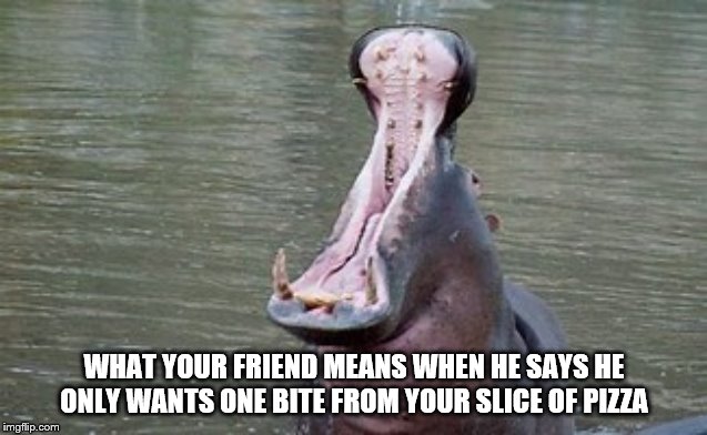 just a taste | WHAT YOUR FRIEND MEANS WHEN HE SAYS HE ONLY WANTS ONE BITE FROM YOUR SLICE OF PIZZA | image tagged in memes | made w/ Imgflip meme maker