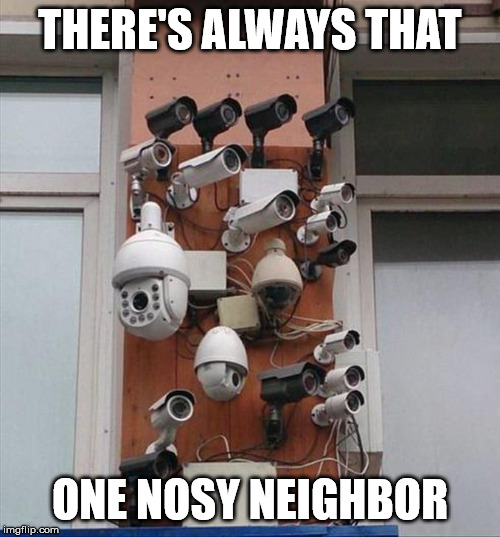 THERE'S ALWAYS THAT; ONE NOSY NEIGHBOR | made w/ Imgflip meme maker