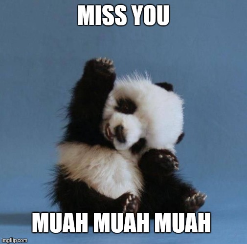 Panda | MISS YOU; MUAH MUAH MUAH | image tagged in panda | made w/ Imgflip meme maker