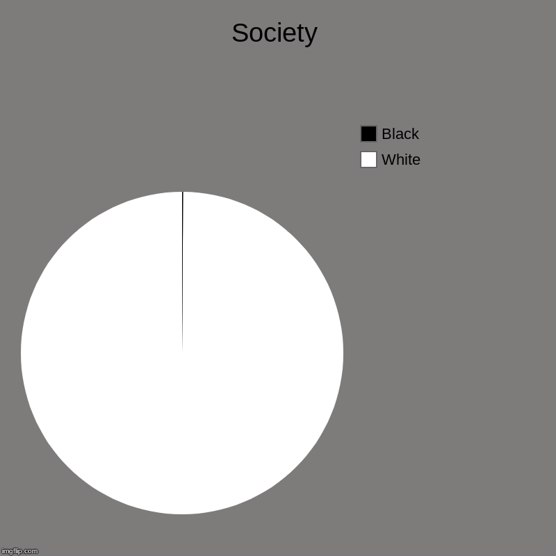 Society | White, Black | image tagged in charts,pie charts | made w/ Imgflip chart maker