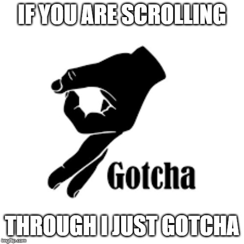 Gotcha | IF YOU ARE SCROLLING; THROUGH I JUST GOTCHA | image tagged in funny memes,gotcha,rekt | made w/ Imgflip meme maker