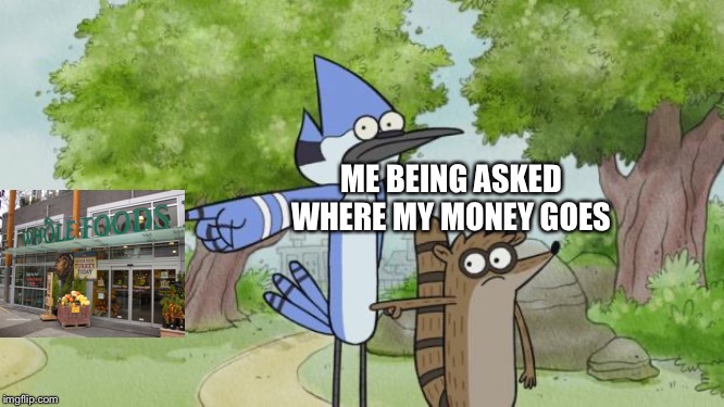 regular show | ME BEING ASKED WHERE MY MONEY GOES | image tagged in regular show | made w/ Imgflip meme maker