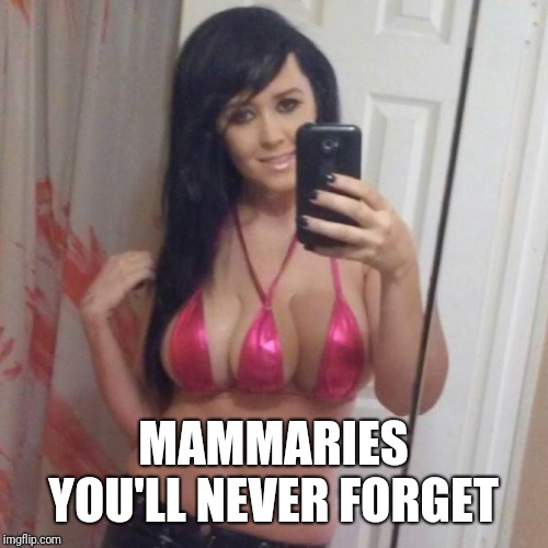 girl with three boobs | MAMMARIES YOU'LL NEVER FORGET | image tagged in girl with three boobs | made w/ Imgflip meme maker