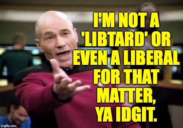 Picard Wtf Meme | I'M NOT A
'LIBTARD' OR
EVEN A LIBERAL
FOR THAT
MATTER,
YA IDGIT. | image tagged in memes,picard wtf | made w/ Imgflip meme maker