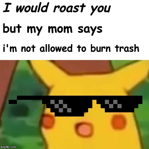 Surprised Pikachu Meme | I would roast you; but my mom says; i'm not allowed to burn trash | image tagged in memes,surprised pikachu | made w/ Imgflip meme maker