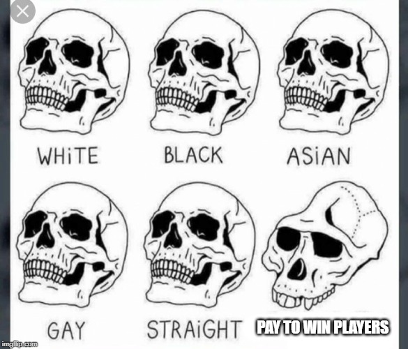 White Black Asian Gay Straight skull template | PAY TO WIN PLAYERS | image tagged in white black asian gay straight skull template | made w/ Imgflip meme maker