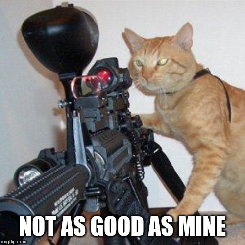 cat with gun | NOT AS GOOD AS MINE | image tagged in cat with gun | made w/ Imgflip meme maker