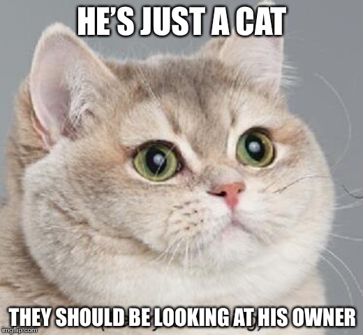Heavy Breathing Cat Meme | HE’S JUST A CAT THEY SHOULD BE LOOKING AT HIS OWNER | image tagged in memes,heavy breathing cat | made w/ Imgflip meme maker