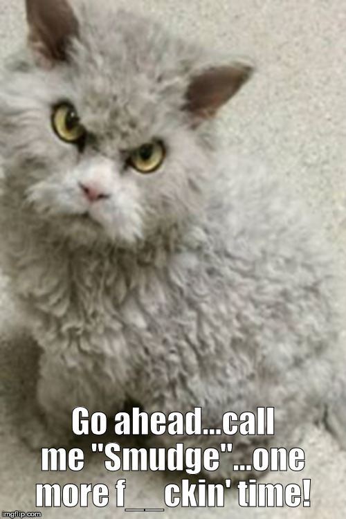 Mad Kitty | Go ahead...call me "Smudge"...one more f__ckin' time! | image tagged in mad kitty | made w/ Imgflip meme maker