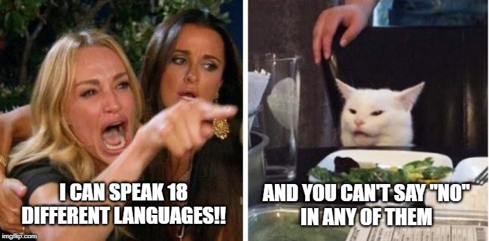 AND YOU CAN'T SAY "NO"
IN ANY OF THEM; I CAN SPEAK 18 DIFFERENT LANGUAGES!! | image tagged in smudge the cat,woman yelling at cat | made w/ Imgflip meme maker