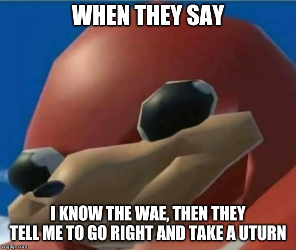 dead meme time | WHEN THEY SAY; I KNOW THE WAE, THEN THEY TELL ME TO GO RIGHT AND TAKE A UTURN | image tagged in ugandan knuckles,dead meme,da wae | made w/ Imgflip meme maker