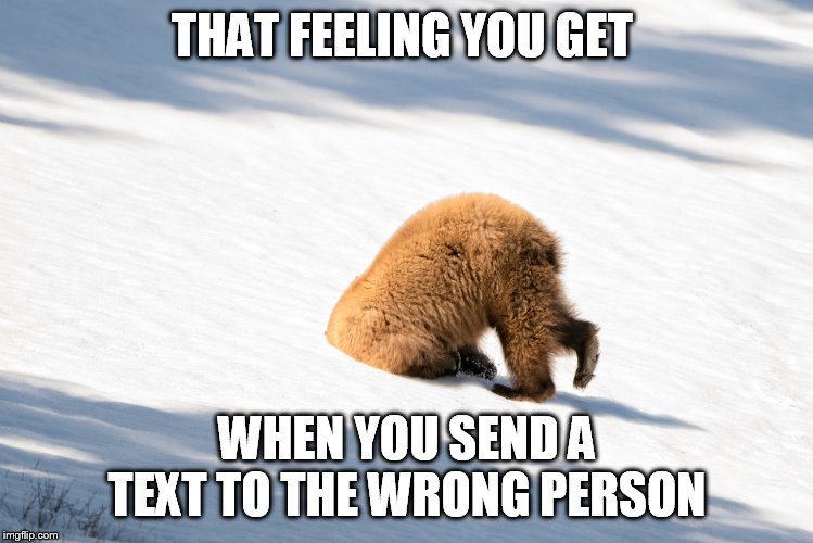  THAT FEELING YOU GET; WHEN YOU SEND A TEXT TO THE WRONG PERSON | image tagged in animal meme,funny,that feeling when | made w/ Imgflip meme maker