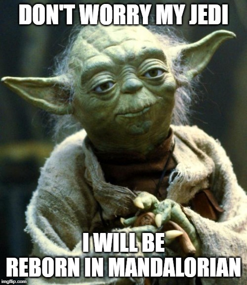 Star Wars Yoda Meme | DON'T WORRY MY JEDI; I WILL BE REBORN IN MANDALORIAN | image tagged in memes,star wars yoda | made w/ Imgflip meme maker