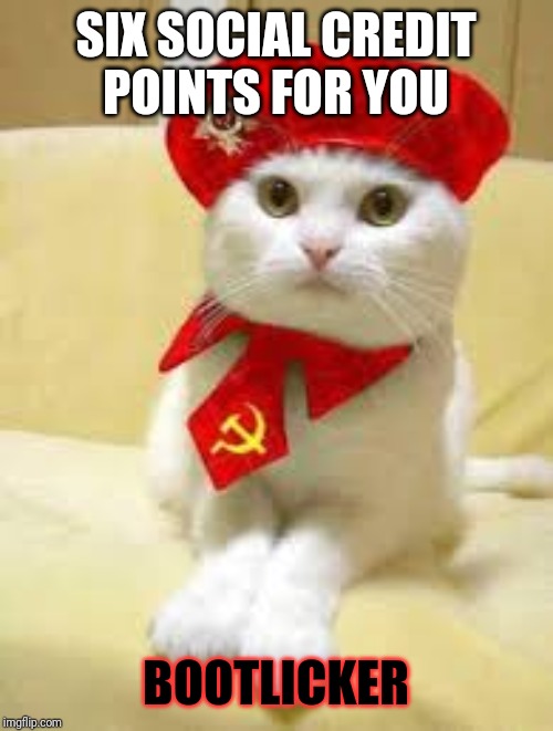 six social credit points for you, bootlicker | SIX SOCIAL CREDIT
POINTS FOR YOU; BOOTLICKER | image tagged in communist cat,socialism,communism,cat,funny cats,funny memes | made w/ Imgflip meme maker