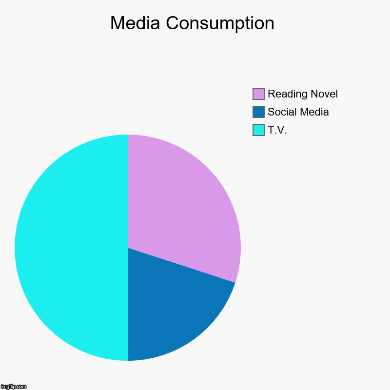 Media Consumption | T.V., Social Media, Reading Novel | image tagged in charts,pie charts | made w/ Imgflip chart maker