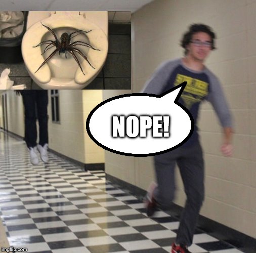 Running away in hallway | NOPE! | image tagged in running away in hallway | made w/ Imgflip meme maker