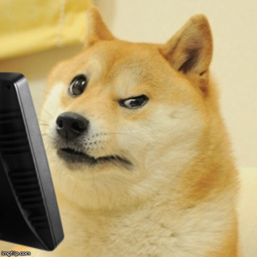 Concerned doge computer | image tagged in concerned doge computer | made w/ Imgflip meme maker