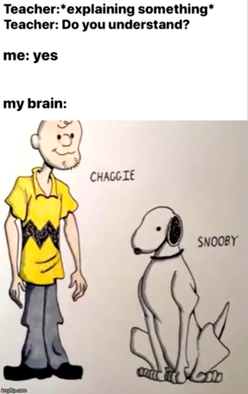 image tagged in charlie brown,shaggy,snoopy,scooby doo | made w/ Imgflip meme maker