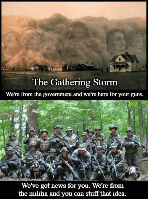 The Gathering Storm: Stuff it Ralphie! | image tagged in gun control,right to bear arms,2nd amendment,second amendment,militia,stuff it ralphie | made w/ Imgflip meme maker