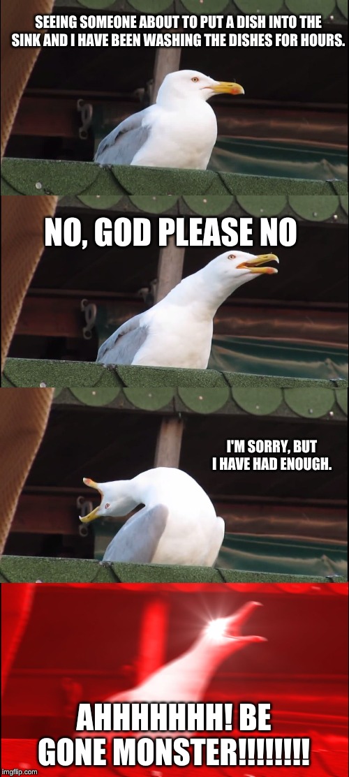 Inhaling Seagull | SEEING SOMEONE ABOUT TO PUT A DISH INTO THE SINK AND I HAVE BEEN WASHING THE DISHES FOR HOURS. NO, GOD PLEASE NO; I'M SORRY, BUT I HAVE HAD ENOUGH. AHHHHHHH! BE GONE MONSTER!!!!!!!! | image tagged in memes,inhaling seagull | made w/ Imgflip meme maker