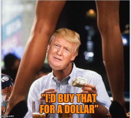 Just a straight-white male having a night out at the strip club. | "I'D BUY THAT FOR A DOLLAR" | image tagged in trump at strip club,memes,funny memes,funny,mgtow | made w/ Imgflip meme maker