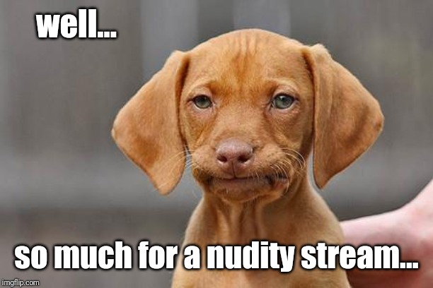 Dissapointed puppy | well... so much for a nudity stream... | image tagged in dissapointed puppy | made w/ Imgflip meme maker