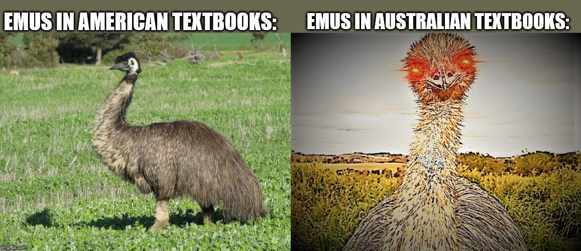 Emus to Americans vs. Emus to Australians | EMUS IN AUSTRALIAN TEXTBOOKS:; EMUS IN AMERICAN TEXTBOOKS: | image tagged in emu,memes | made w/ Imgflip meme maker