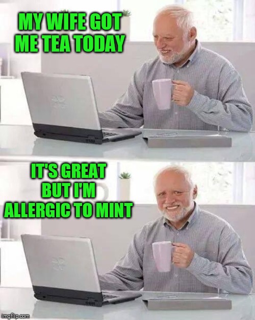 She knew that ;) | MY WIFE GOT ME TEA TODAY; IT'S GREAT BUT I'M ALLERGIC TO MINT | image tagged in memes,hide the pain harold,tea,mint tea | made w/ Imgflip meme maker