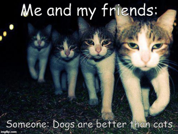 Wrong Neighboorhood Cats Meme | Me and my friends:; Someone: Dogs are better than cats | image tagged in memes,wrong neighboorhood cats | made w/ Imgflip meme maker