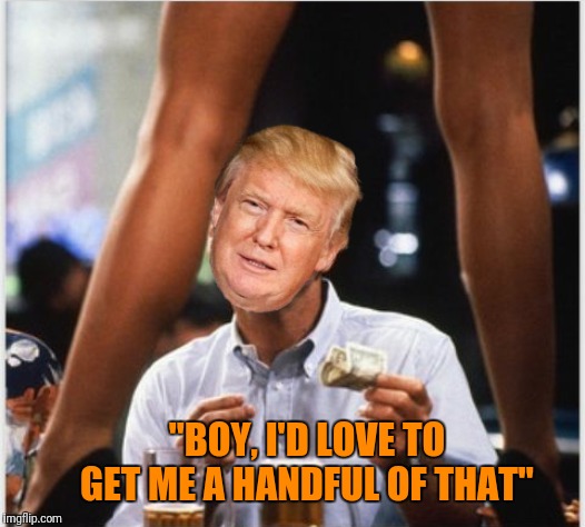 Should I grab it? | "BOY, I'D LOVE TO GET ME A HANDFUL OF THAT" | image tagged in trump at strip club,memes,funny meme,funny,mgtow | made w/ Imgflip meme maker
