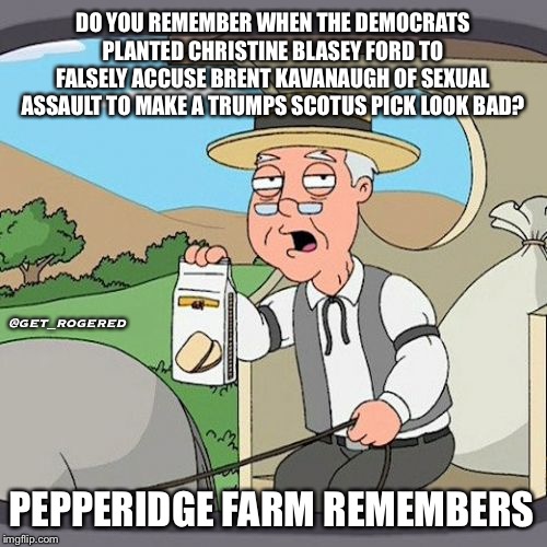 Pepperidge Farm Remembers | DO YOU REMEMBER WHEN THE DEMOCRATS PLANTED CHRISTINE BLASEY FORD TO FALSELY ACCUSE BRENT KAVANAUGH OF SEXUAL ASSAULT TO MAKE A TRUMPS SCOTUS PICK LOOK BAD? @get_rogered; PEPPERIDGE FARM REMEMBERS | image tagged in memes,pepperidge farm remembers | made w/ Imgflip meme maker