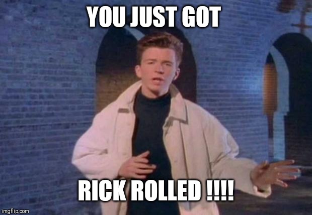 rick rolled | YOU JUST GOT; RICK ROLLED !!!! | image tagged in rick rolled | made w/ Imgflip meme maker