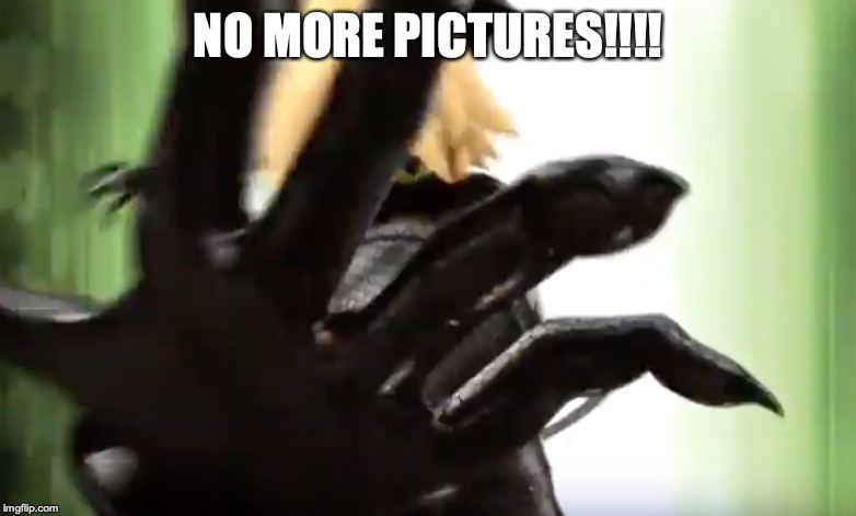 NO PICTURES | NO MORE PICTURES!!!! | image tagged in no pictures | made w/ Imgflip meme maker