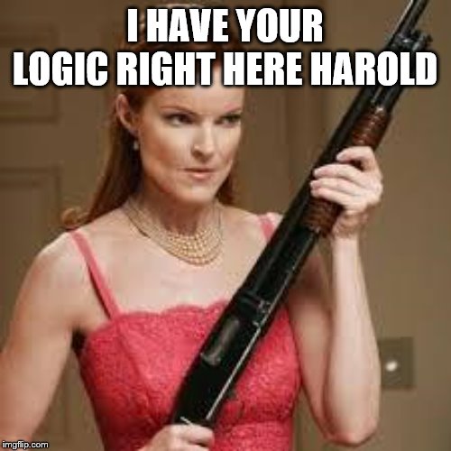 wife with a shotgun | I HAVE YOUR LOGIC RIGHT HERE HAROLD | image tagged in wife with a shotgun | made w/ Imgflip meme maker