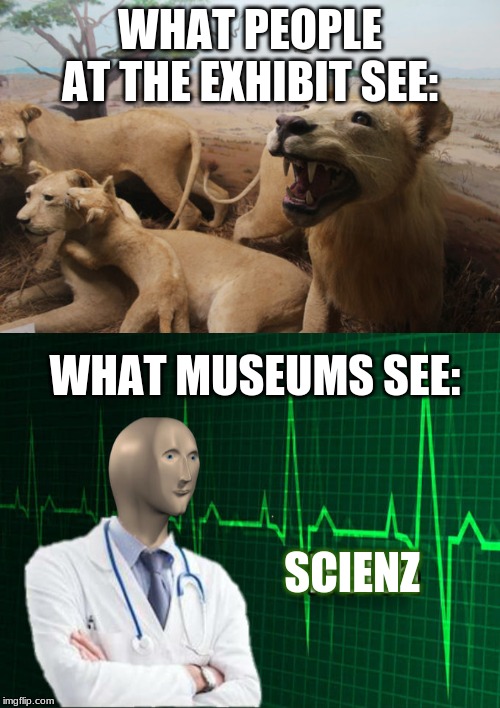 Historians see more potential in things like this than anyone! | WHAT PEOPLE AT THE EXHIBIT SEE:; WHAT MUSEUMS SEE:; SCIENZ | image tagged in meme man helth,funny,animals | made w/ Imgflip meme maker
