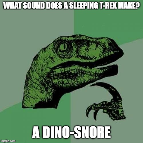 Philosoraptor | WHAT SOUND DOES A SLEEPING T-REX MAKE? A DINO-SNORE | image tagged in memes,philosoraptor | made w/ Imgflip meme maker