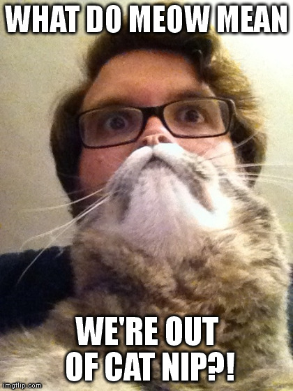 Surprised CatMan | WHAT DO MEOW MEAN WE'RE OUT OF CAT NIP?! | image tagged in memes,surprised catman | made w/ Imgflip meme maker
