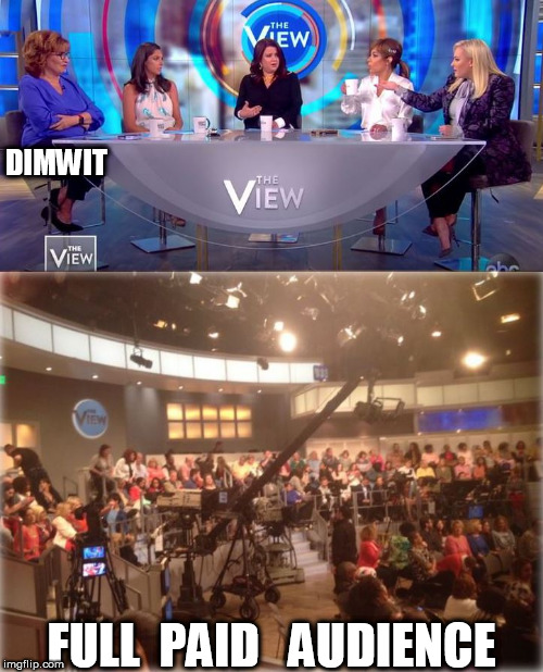 Joy  Behar says trump's rallies are fake & all paid actors 


she would know as a dimwit on a show of paid actors with an ALL | DIMWIT; FULL  PAID   AUDIENCE | image tagged in joy behar,the view,television,show,paid actors | made w/ Imgflip meme maker
