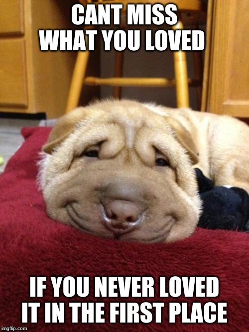 Sad Happy Dog | CANT MISS WHAT YOU LOVED IF YOU NEVER LOVED IT IN THE FIRST PLACE | image tagged in sad happy dog | made w/ Imgflip meme maker
