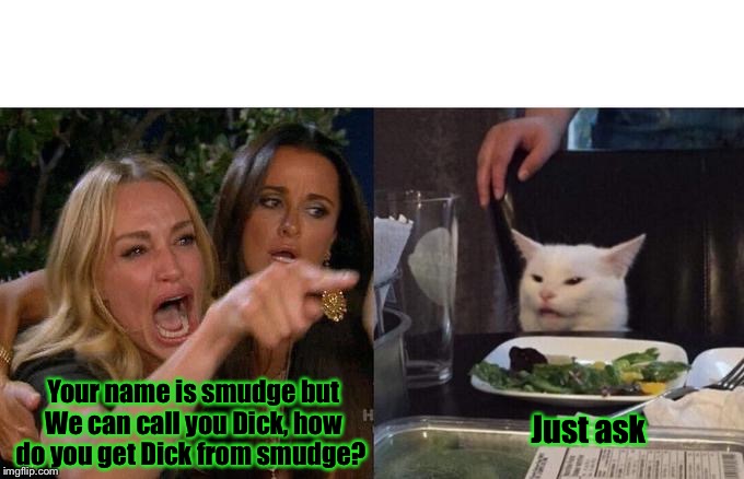 Woman Yelling At Cat Meme | Your name is smudge but We can call you Dick, how do you get Dick from smudge? Just ask | image tagged in memes,woman yelling at cat | made w/ Imgflip meme maker